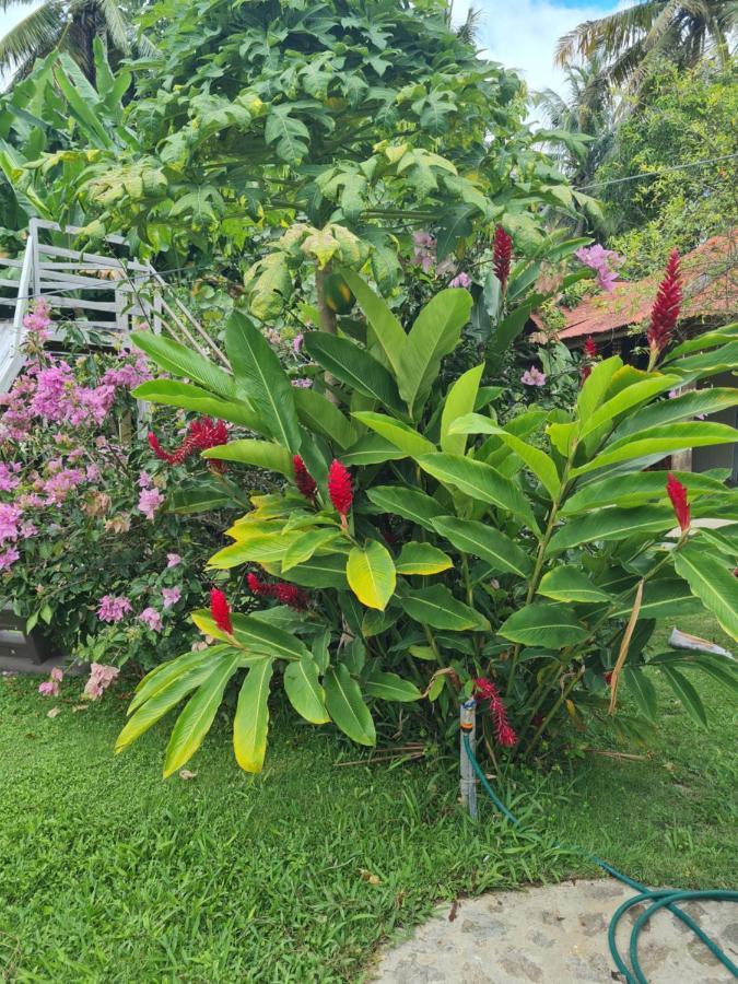 Villa Sonrisa Casa De Huespedes ลาสแตร์เรนาส ภายนอก รูปภาพ