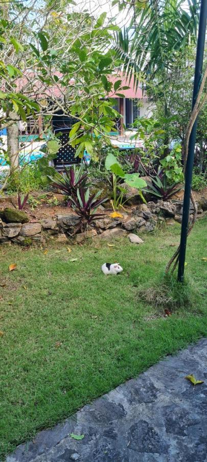 Villa Sonrisa Casa De Huespedes ลาสแตร์เรนาส ภายนอก รูปภาพ