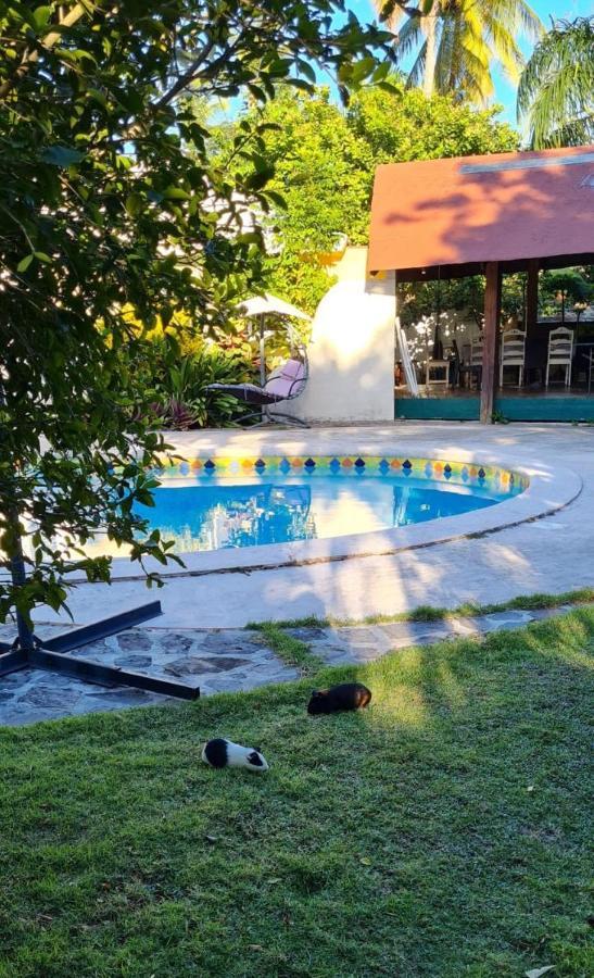 Villa Sonrisa Casa De Huespedes ลาสแตร์เรนาส ภายนอก รูปภาพ